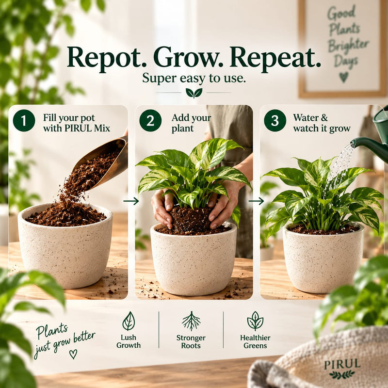 Pirul High Growth Mix