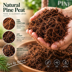 Pirul Pine Peat