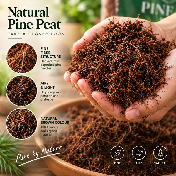 Pirul Pine Peat