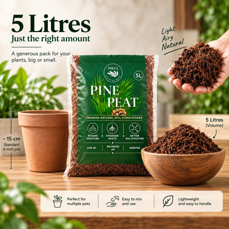 Pirul Pine Peat
