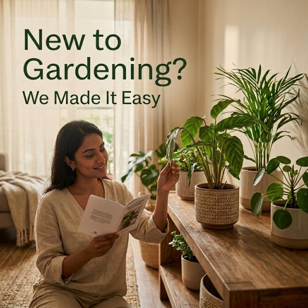 INDOOR PLANT CARE KIT