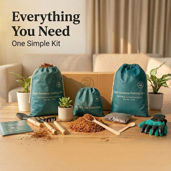 INDOOR PLANT CARE KIT