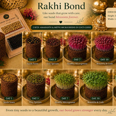 A Rakhi That Keeps Growing