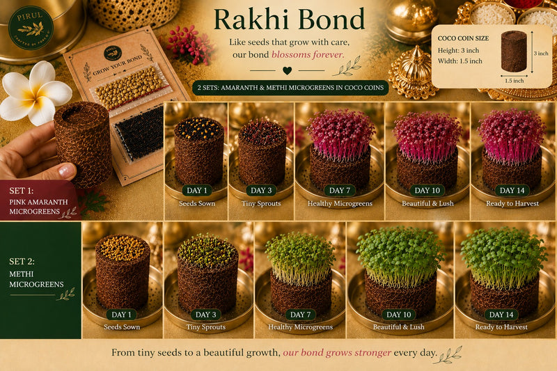 A Rakhi That Keeps Growing