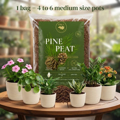 Pirul Pine Peat
