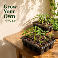 Seed start mix