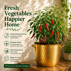 Vegetable harvest mix